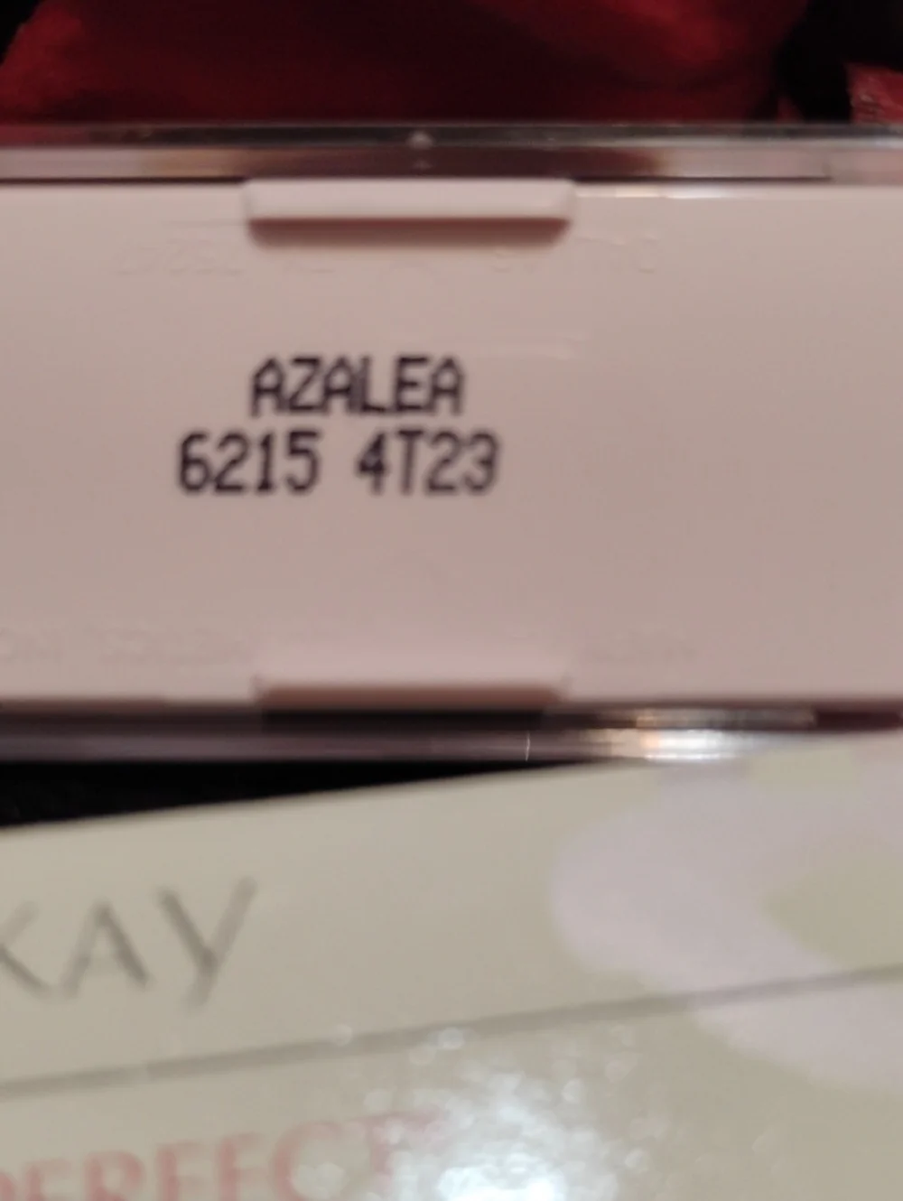 Soft Pink Powder Perfect Cheek Color